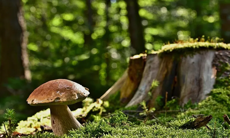 pubblicità e decoro nel pavimento di una palestra